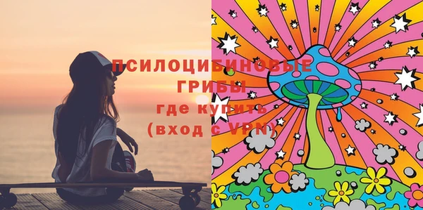 соль ск Алексеевка